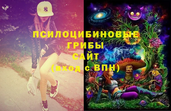 Альфа ПВП Алзамай