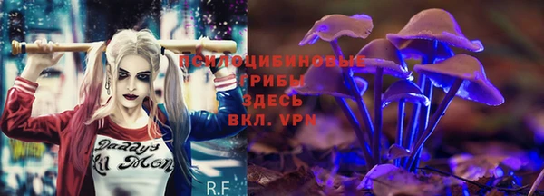 кокаин Алексеевка