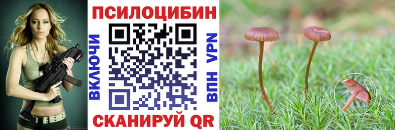 Псилоцибиновые грибы прущие грибы  даркнет сайт  гидра зеркало  Осташков 